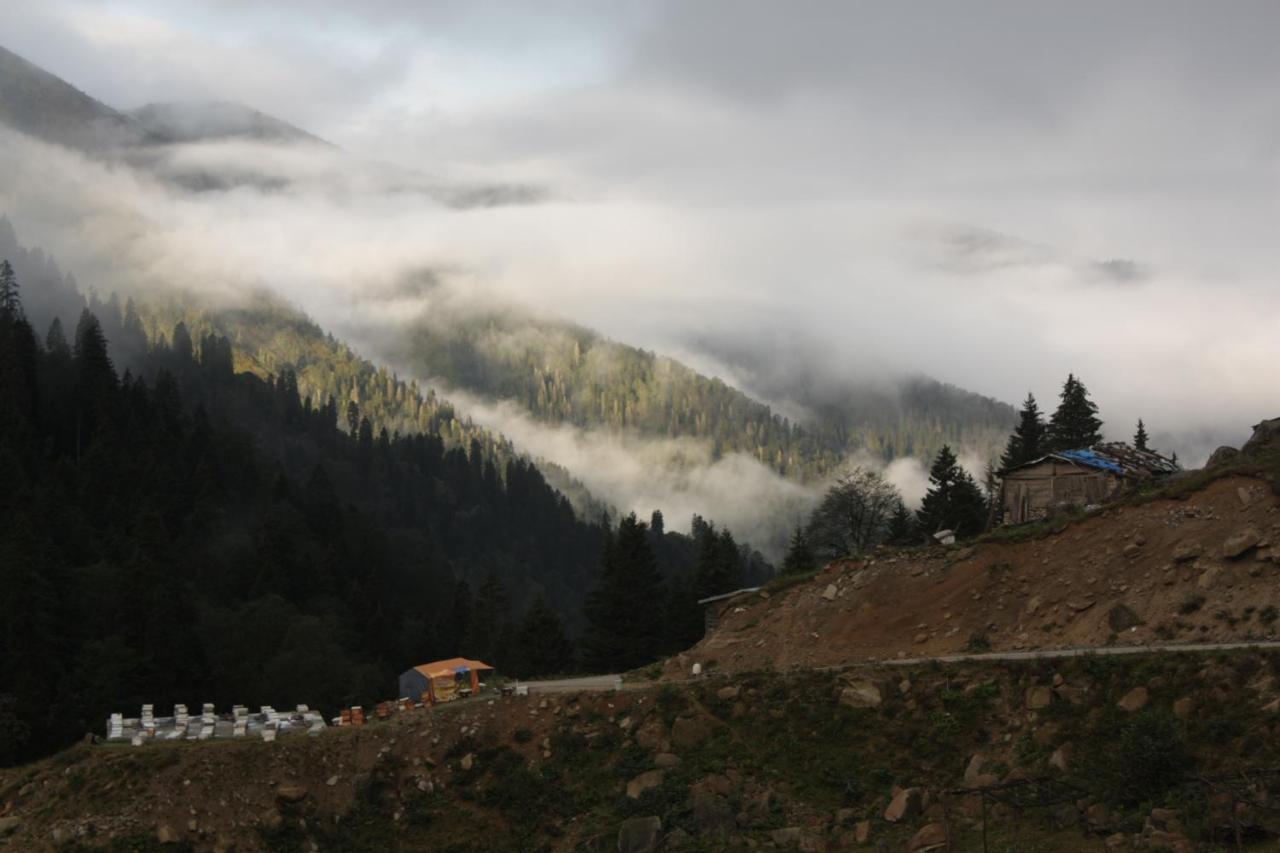Serinyer Dag Evi Ayder Yaylasi Exteriér fotografie