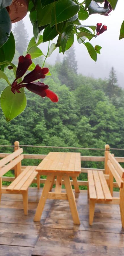 Serinyer Dag Evi Ayder Yaylasi Exteriér fotografie
