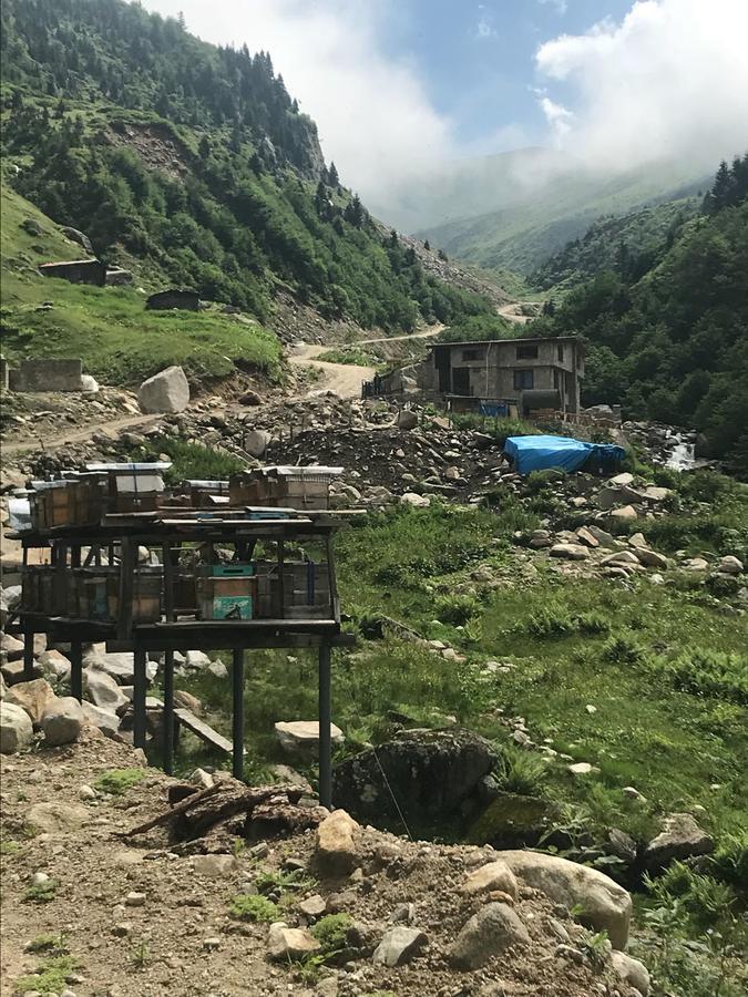 Serinyer Dag Evi Ayder Yaylasi Exteriér fotografie